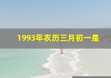 1993年农历三月初一是