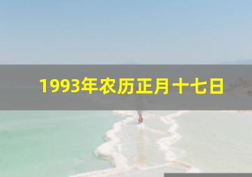 1993年农历正月十七日