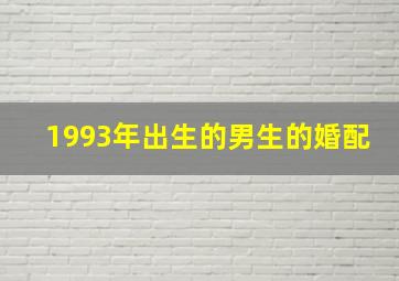 1993年出生的男生的婚配