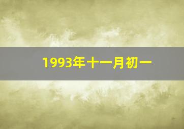 1993年十一月初一