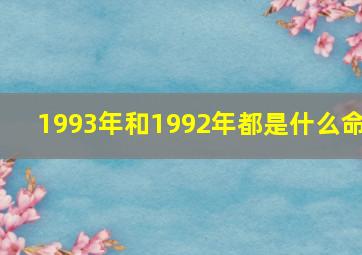 1993年和1992年都是什么命