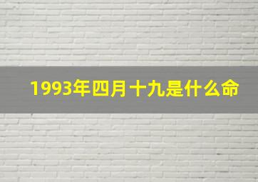 1993年四月十九是什么命