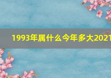 1993年属什么今年多大2021