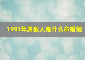 1993年属猴人是什么命婚姻