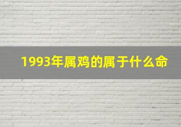 1993年属鸡的属于什么命