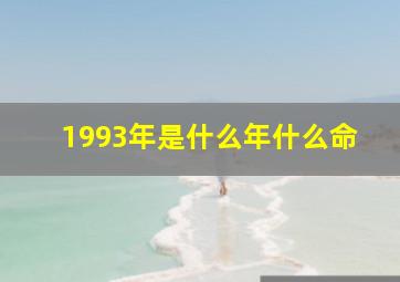 1993年是什么年什么命