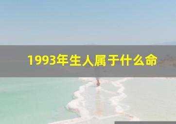 1993年生人属于什么命