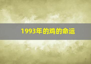 1993年的鸡的命运