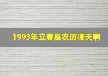 1993年立春是农历哪天啊