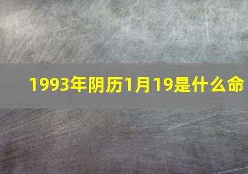 1993年阴历1月19是什么命