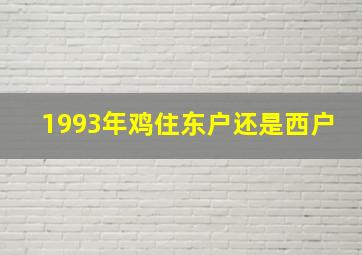 1993年鸡住东户还是西户