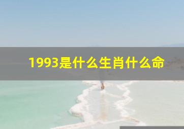 1993是什么生肖什么命