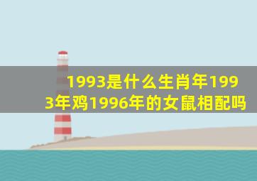 1993是什么生肖年1993年鸡1996年的女鼠相配吗