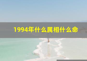 1994年什么属相什么命