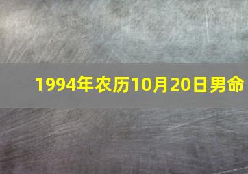 1994年农历10月20日男命