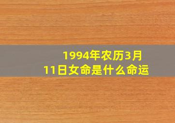 1994年农历3月11日女命是什么命运