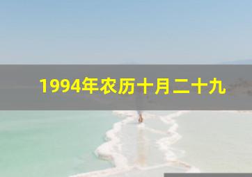 1994年农历十月二十九