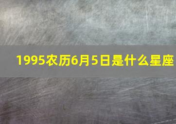 1995农历6月5日是什么星座