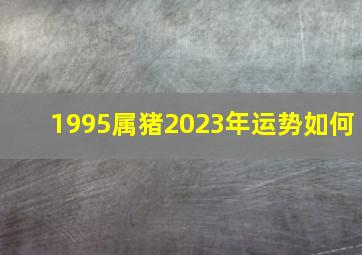 1995属猪2023年运势如何