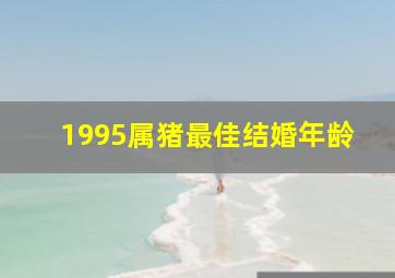 1995属猪最佳结婚年龄