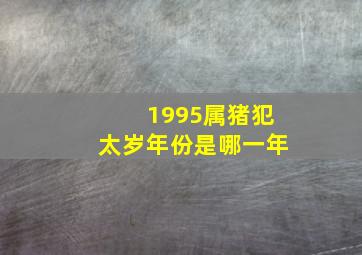 1995属猪犯太岁年份是哪一年