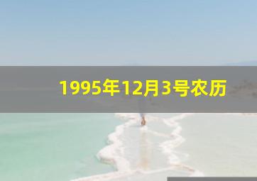 1995年12月3号农历