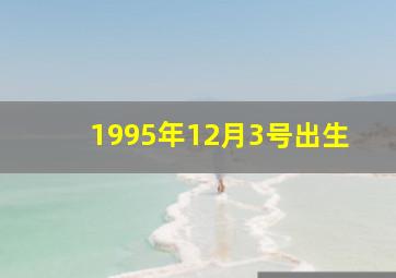 1995年12月3号出生