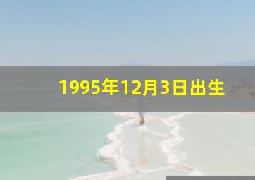 1995年12月3日出生