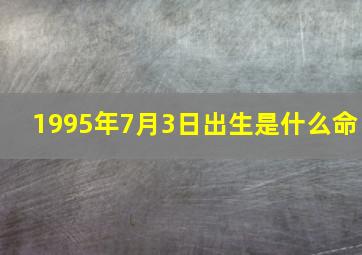 1995年7月3日出生是什么命