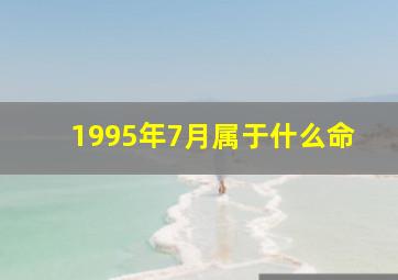 1995年7月属于什么命