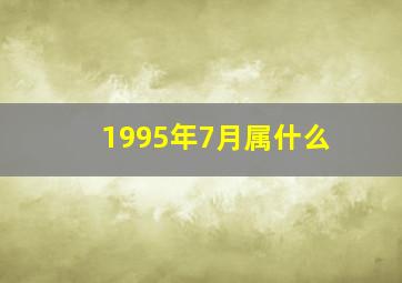 1995年7月属什么