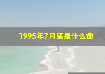 1995年7月猪是什么命