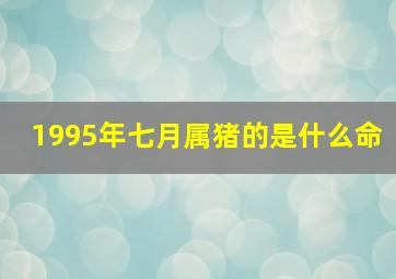 1995年七月属猪的是什么命