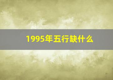 1995年五行缺什么