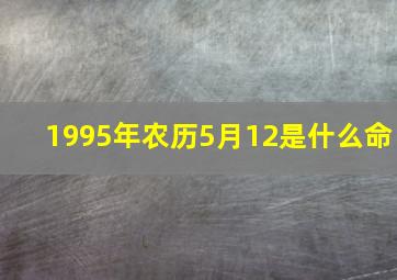 1995年农历5月12是什么命