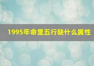 1995年命里五行缺什么属性