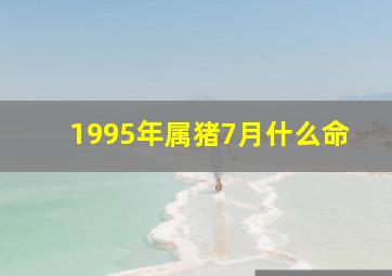 1995年属猪7月什么命