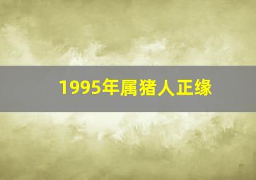 1995年属猪人正缘