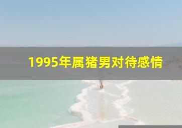 1995年属猪男对待感情