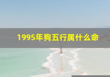 1995年狗五行属什么命