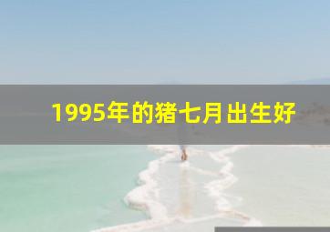 1995年的猪七月出生好