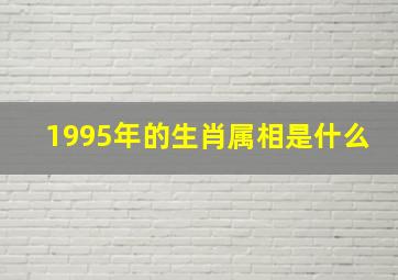 1995年的生肖属相是什么