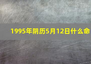 1995年阴历5月12日什么命