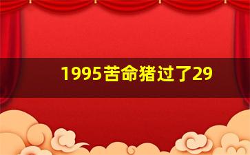 1995苦命猪过了29