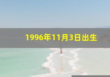 1996年11月3日出生