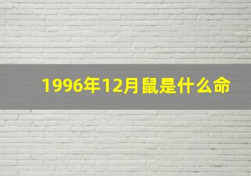 1996年12月鼠是什么命