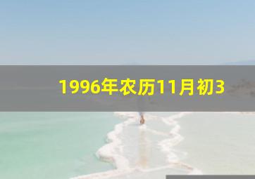 1996年农历11月初3