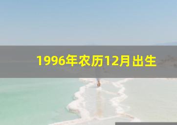 1996年农历12月出生