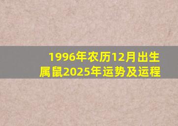 1996年农历12月出生属鼠2025年运势及运程