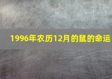 1996年农历12月的鼠的命运